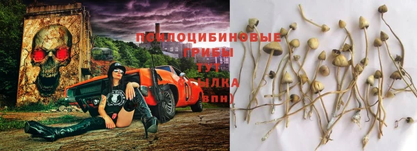 скорость Гусев