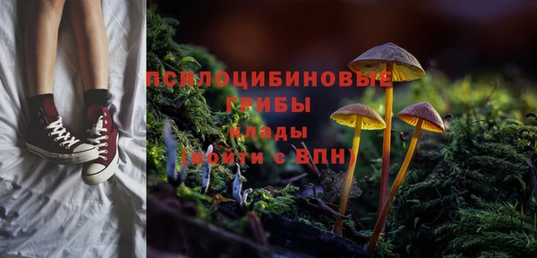 скорость Гусев