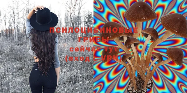 скорость Гусев